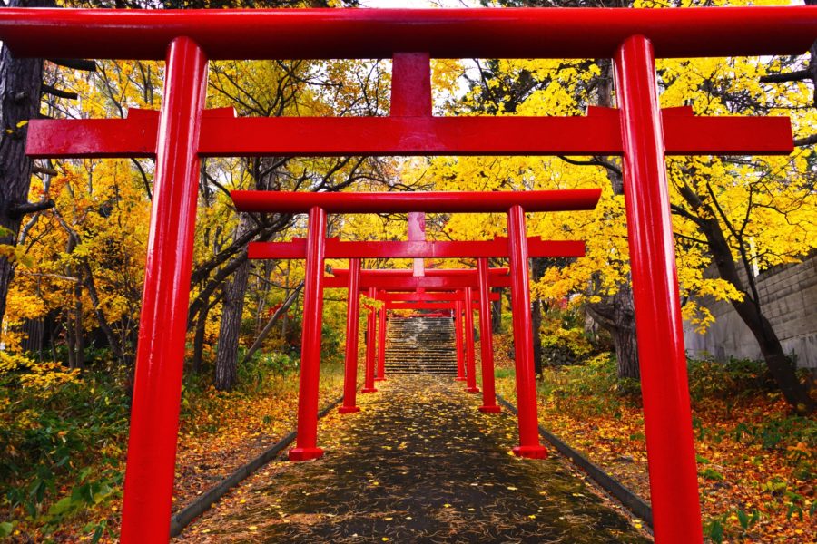 魂の目覚め。新しい年の幕開けに、皆様に伝えたいこと