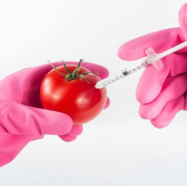残留農薬や食品添加物、化学調味料や遺伝子組み換え食品は、どれだけ身体に影響を与えるのか？