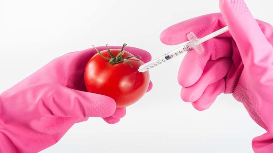 残留農薬や食品添加物、化学調味料や遺伝子組み換え食品は、どれだけ身体に影響を与えるのか?